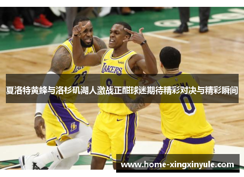 夏洛特黄蜂与洛杉矶湖人激战正酣球迷期待精彩对决与精彩瞬间